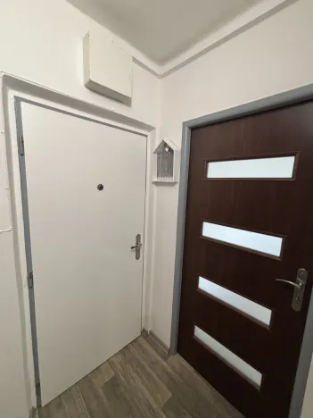 Pronájem bytu 1+kk, Hradec Králové - Slezské Předměstí, Severní, 28 m2