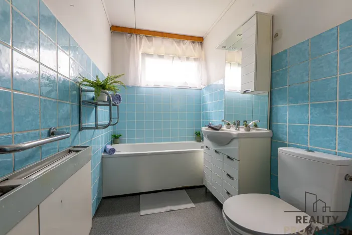 Prodej obchodního prostoru, Praha, Vačkářova, 216 m2