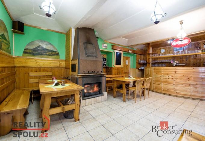 Prodej ubytování, Třebenice, Zimmerova, 332 m2