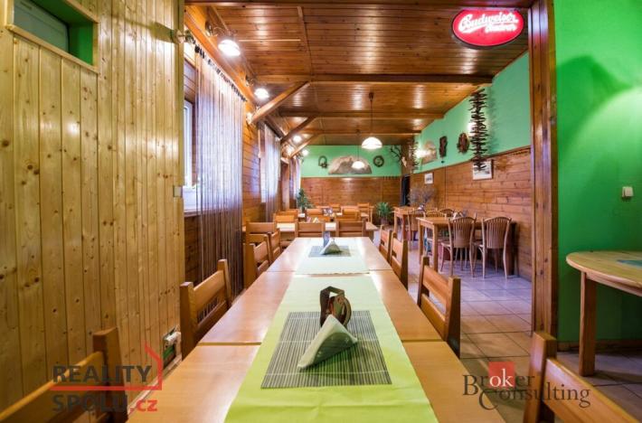 Prodej ubytování, Třebenice, Zimmerova, 332 m2