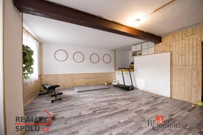 Prodej ubytování, Třebenice, Zimmerova, 332 m2