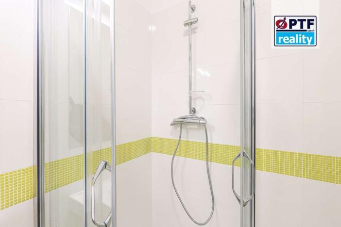 Pronájem bytu 1+kk, Plzeň, Americká, 55 m2