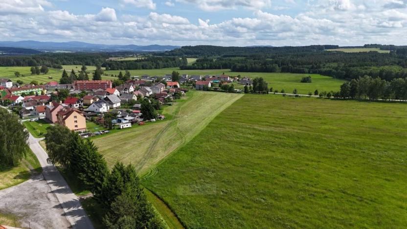 Prodej pozemku pro bydlení, Bujanov, 9698 m2