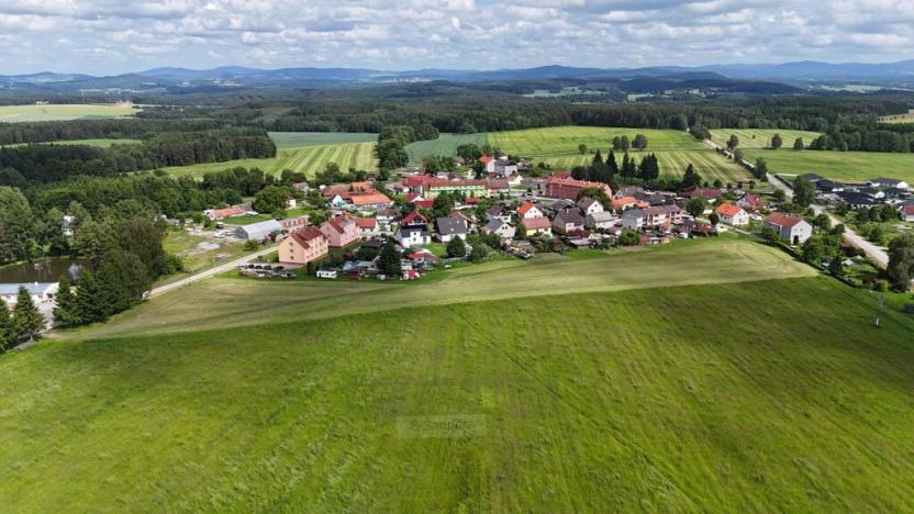 Prodej pozemku pro bydlení, Bujanov, 9698 m2