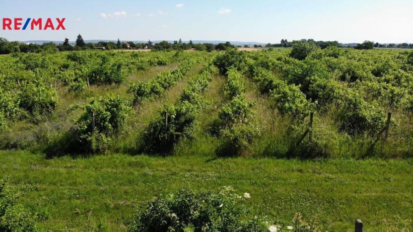 Prodej komerčního pozemku, Brno, 2465 m2