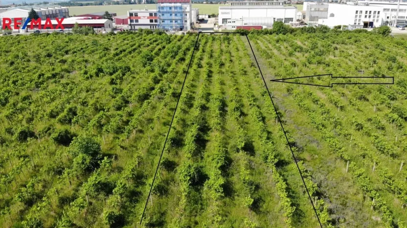 Prodej komerčního pozemku, Brno, 2465 m2