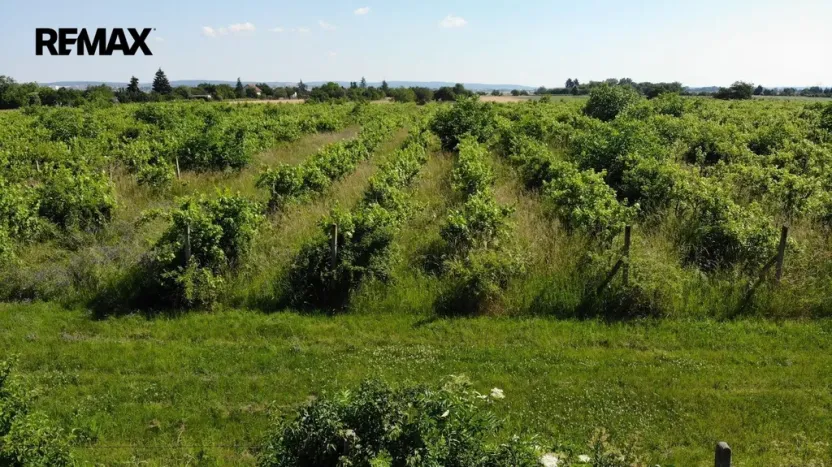 Prodej komerčního pozemku, Brno, 2465 m2