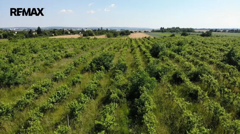 Prodej komerčního pozemku, Brno, 2465 m2