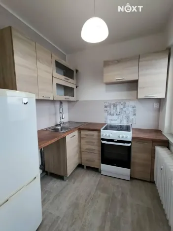 Pronájem bytu 1+1, Ostrava, Řecká, 30 m2