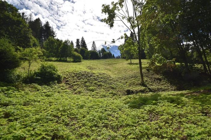 Prodej pozemku pro bydlení, Zlaté Hory, 2799 m2