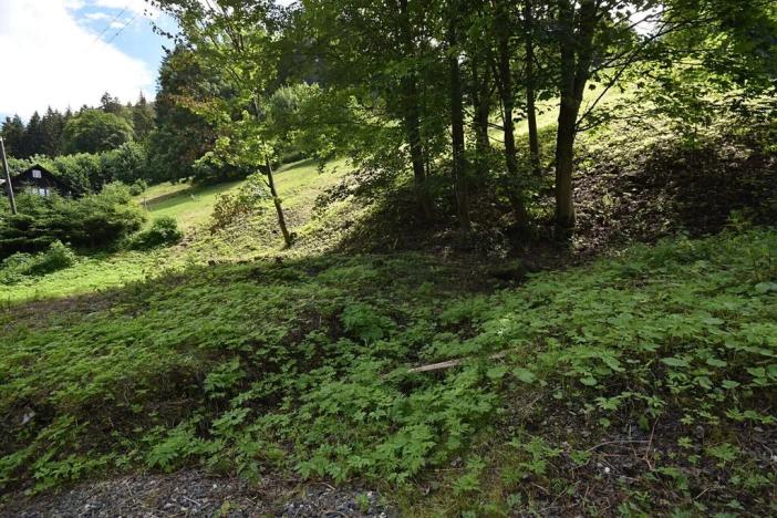 Prodej pozemku pro bydlení, Zlaté Hory, 2799 m2