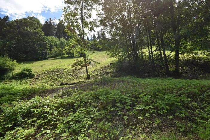 Prodej pozemku pro bydlení, Zlaté Hory, 2799 m2