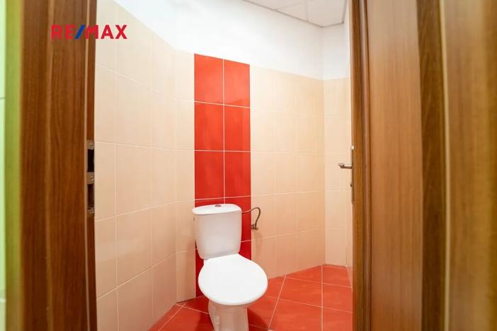 Prodej komerční nemovitosti, Kolín, Havlíčkova, 465 m2