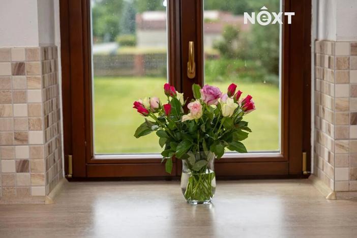 Prodej rodinného domu, Březno, 380 m2