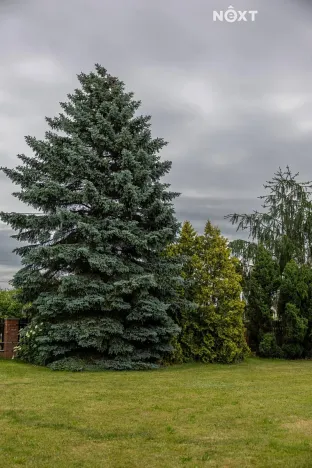 Prodej rodinného domu, Březno, 380 m2