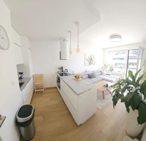 Prodej bytu 3+kk, Benešov, U Pivovaru, 65 m2