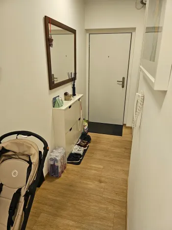 Prodej bytu 3+kk, Benešov, U Pivovaru, 65 m2