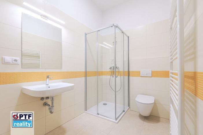 Pronájem bytu 1+kk, Plzeň, Americká, 59 m2