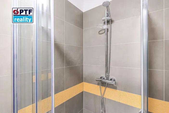 Pronájem bytu 1+kk, Plzeň, Americká, 59 m2