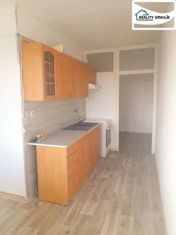 Pronájem bytu 1+1, Mariánské Lázně - Úšovice, Havlíčkova, 48 m2