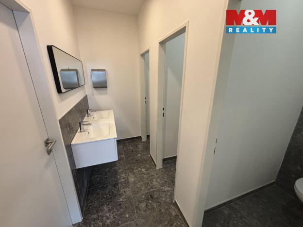 Pronájem komerční nemovitosti, Ostrava - Přívoz, Trocnovská, 240 m2