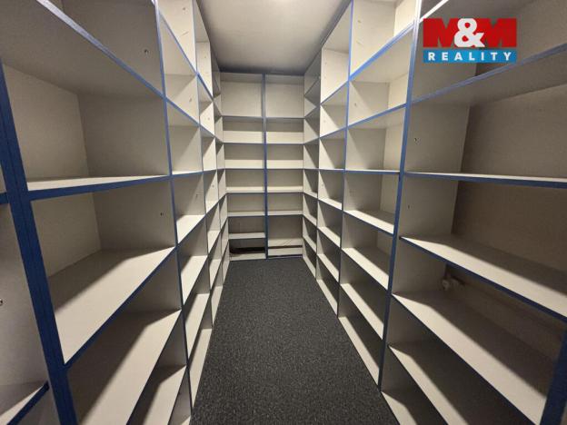 Pronájem obchodního prostoru, Ostrava - Přívoz, Trocnovská, 240 m2