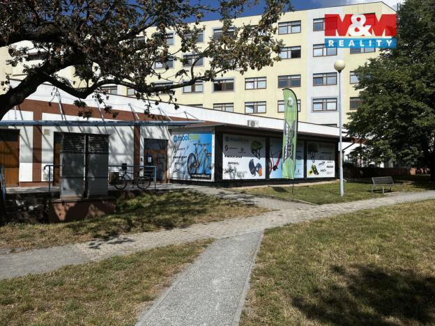 Prodej obchodního prostoru, Brno - Židenice, Gajdošova, 342 m2