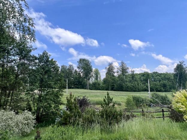 Prodej chaty, Brzice - Proruby, 16 m2