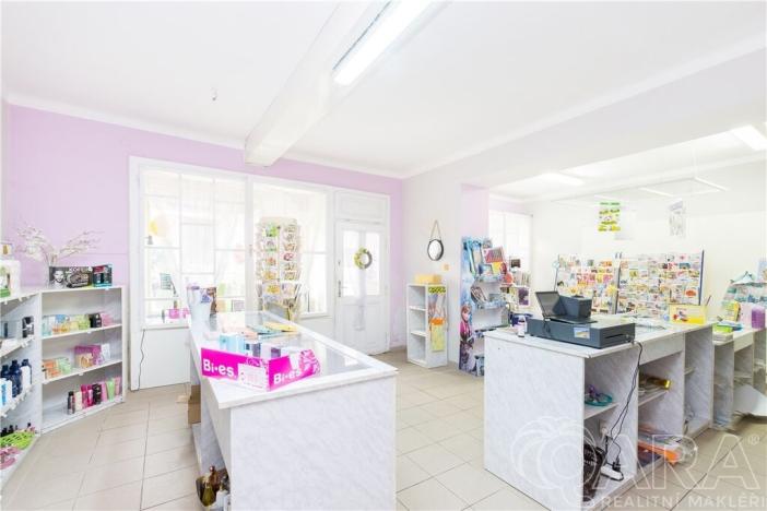 Prodej rodinného domu, Mladá Vožice, Husovo náměstí, 232 m2