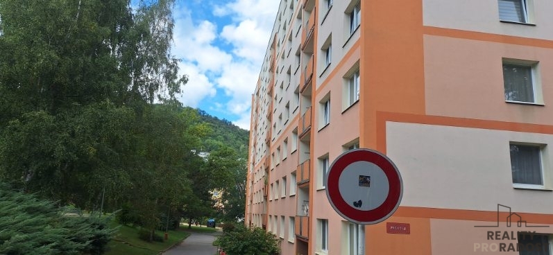 Prodej bytu 1+1, Ústí nad Labem, Peškova, 33 m2