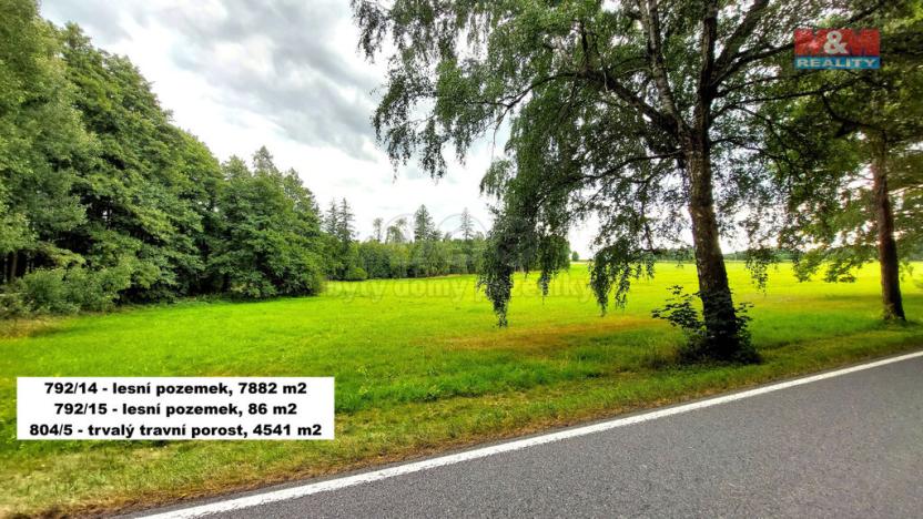 Prodej lesa, Štoky, 21303 m2