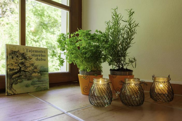 Prodej ubytování, Rodvínov, 1316 m2