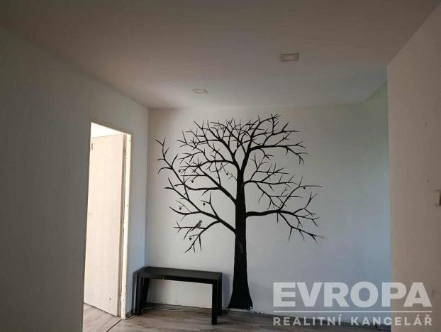 Prodej bytu 2+1, Cvikov - Cvikov II, Sídliště, 60 m2