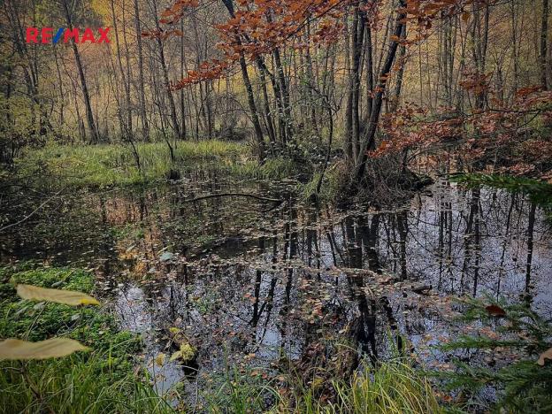 Prodej vily, Blatce, 1947 m2