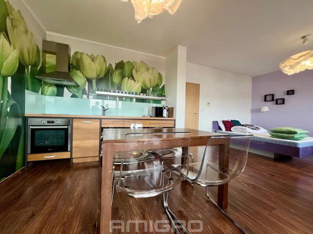 Pronájem bytu 1+kk, Brno, Cacovická, 39 m2