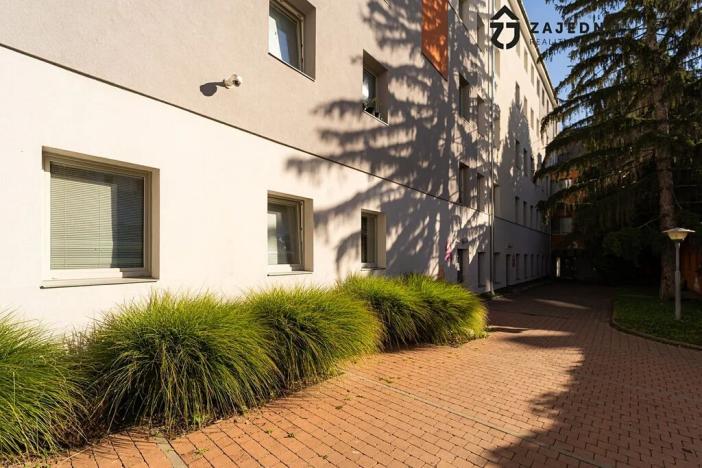 Pronájem bytu 1+kk, Brno, Cejl, 24 m2