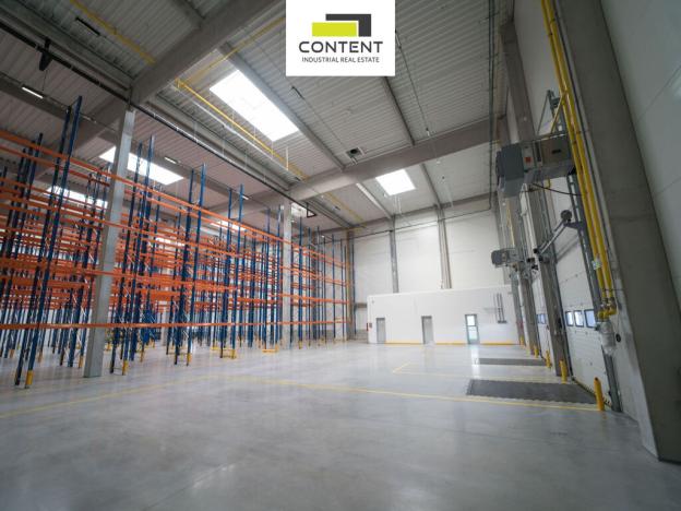 Pronájem skladu, Řepov, 874 m2