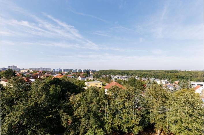 Pronájem bytu 3+1, Praha, Hviezdoslavova, 55 m2