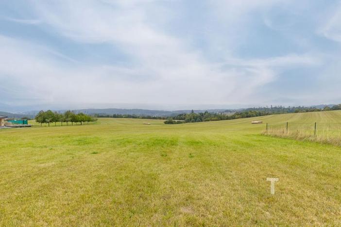 Prodej pozemku pro bydlení, Velenov, 12680 m2