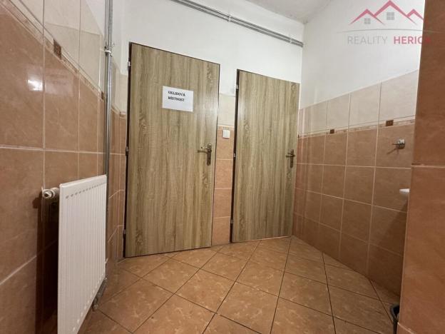Pronájem výrobních prostor, Březno - Střezov, 1200 m2