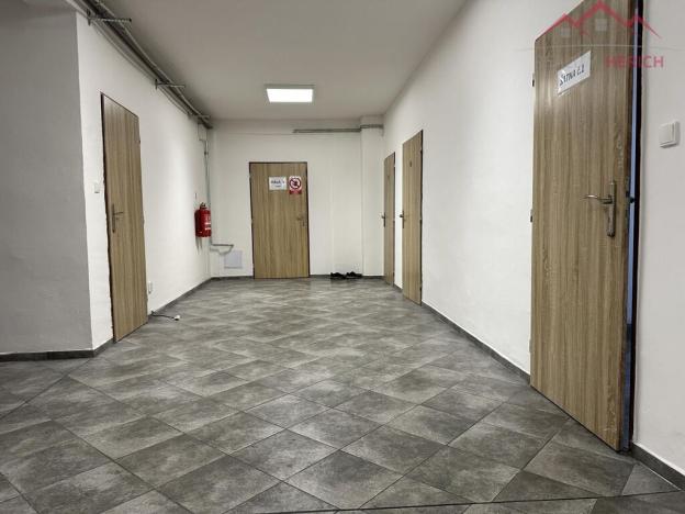 Pronájem výrobních prostor, Březno - Střezov, 1200 m2