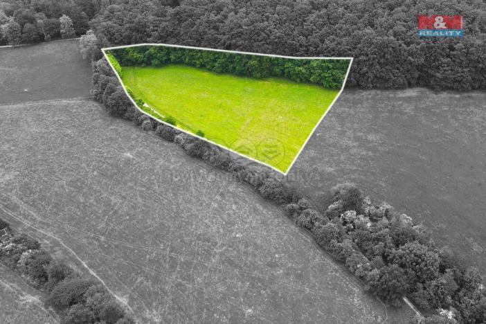 Prodej louky, Staré Hutě, 11031 m2