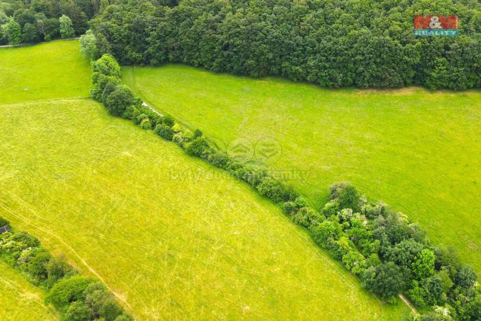 Prodej louky, Staré Hutě, 11031 m2