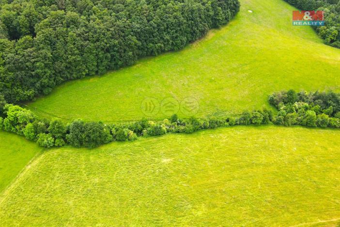 Prodej louky, Staré Hutě, 11031 m2