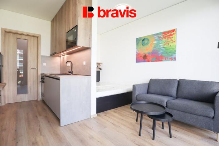 Pronájem bytu 1+kk, Brno - Trnitá, Trnitá, 27 m2