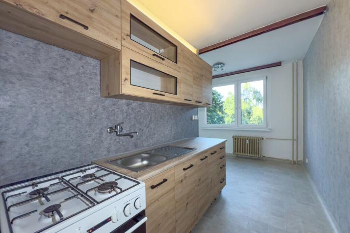 Pronájem bytu 1+1, Chomutov, Písečná, 42 m2