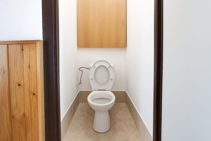 Prodej bytu 2+1, Česká Lípa, Střelnice, 56 m2