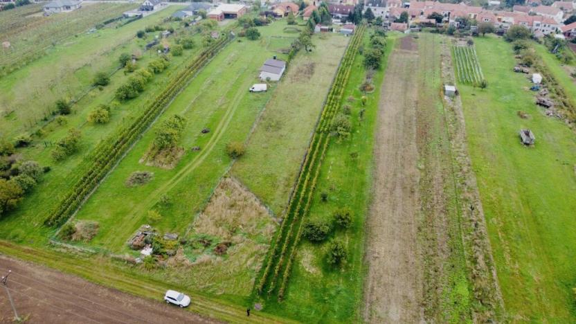 Prodej sadu/vinice, Týnec, 1237 m2