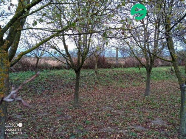 Prodej zahrady, Čejč, U Šlechtitelky, 608 m2