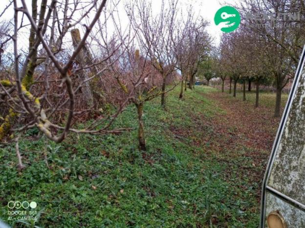 Prodej zahrady, Čejč, U Šlechtitelky, 608 m2